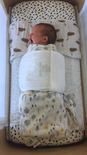 Buy Safe T Sleep Sleepwrap - Mini Online - Babies Nz